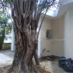 Casa Térrea à venda com 4 quartos, sendo 1 suíte, em Vila Rosália, Guarulhos, SP