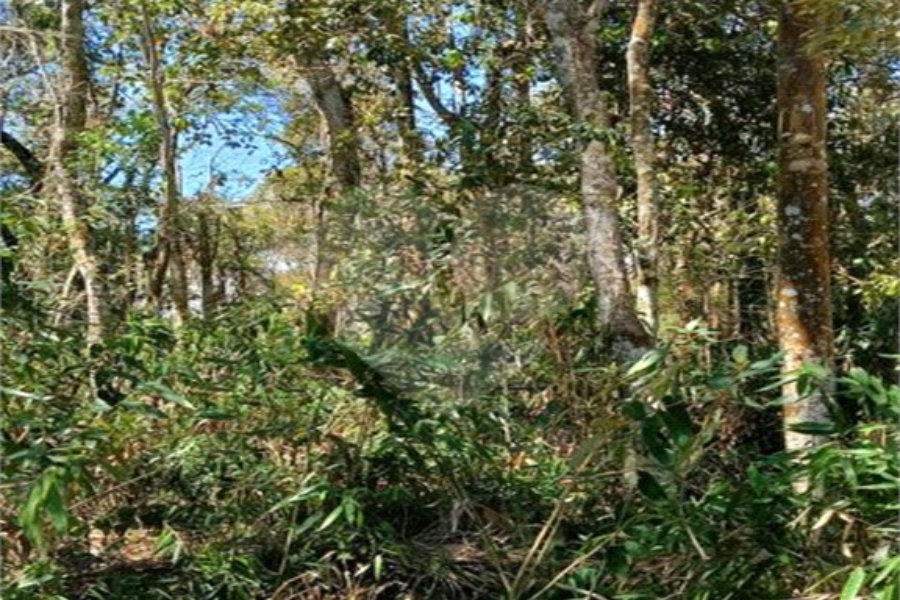 Terreno à venda em Remédios, Mairiporã, SP