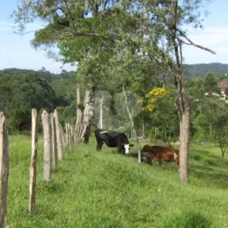 Área de Terra à venda em Alto da Serra (mailasqui), São Roque, SP