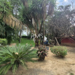 SÍTIO À VENDA EM ELIAS FAUSTO 21.900 m² - ÓTIMA TOPOGRAFIA E EXCELENTE LOCALIZAÇÃO