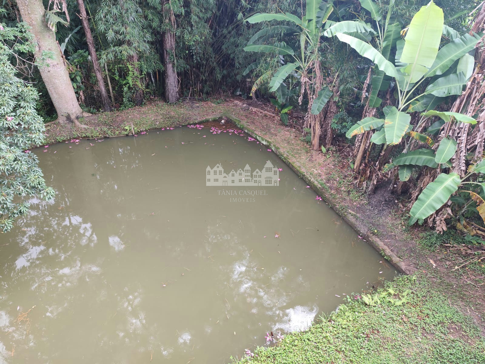 Sítio, 3 quartos, 1440 m² - Foto 19