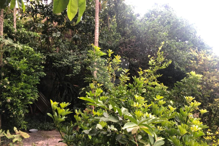 Casa Térrea à venda com 2 quartos em Casa Verde, São Paulo, SP