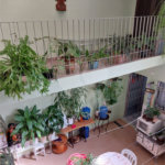 Casa à venda com 3 quartos em Tremembé, São Paulo, SP