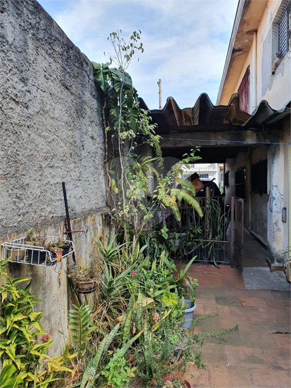Terreno à venda em Vila Paulicéia, São Paulo, SP