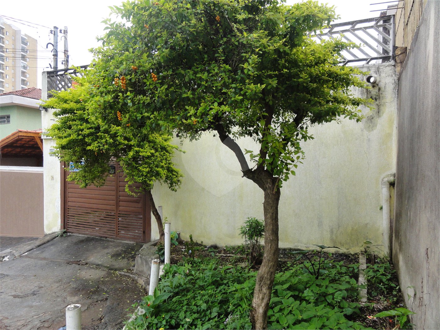 Casa à venda com 5 quartos, sendo 2 suítes, em Vila Medeiros, São Paulo, SP