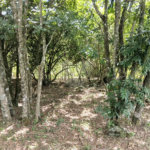 Terreno à venda em Planalto Verde, São Roque, SP