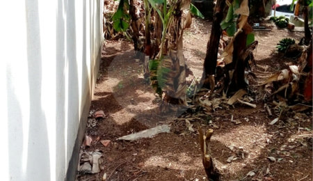 Terreno à venda em Freguesia do Ó, São Paulo, SP