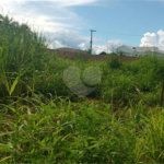 Terreno à venda em Jaçanã, São Paulo, SP