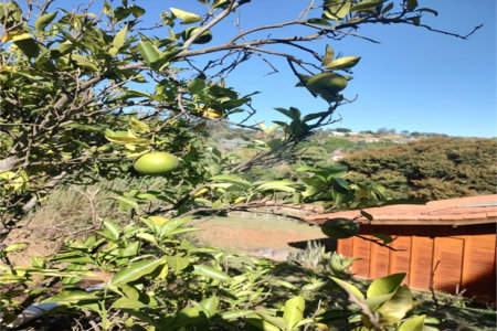Chácara à venda com 4 quartos, sendo 1 suíte, em Chácaras Fernão Dias, Atibaia, SP