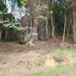 Loteamento à venda em Serra da Cantareira, São Paulo, SP