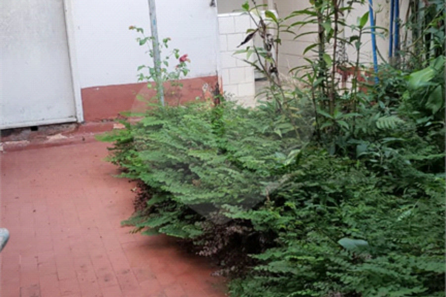 Casa à venda com 3 quartos em Jardim Petrópolis, São Paulo, SP
