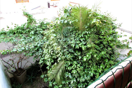 Casa à venda com 3 suítes em Jardim Regina, São Paulo, SP