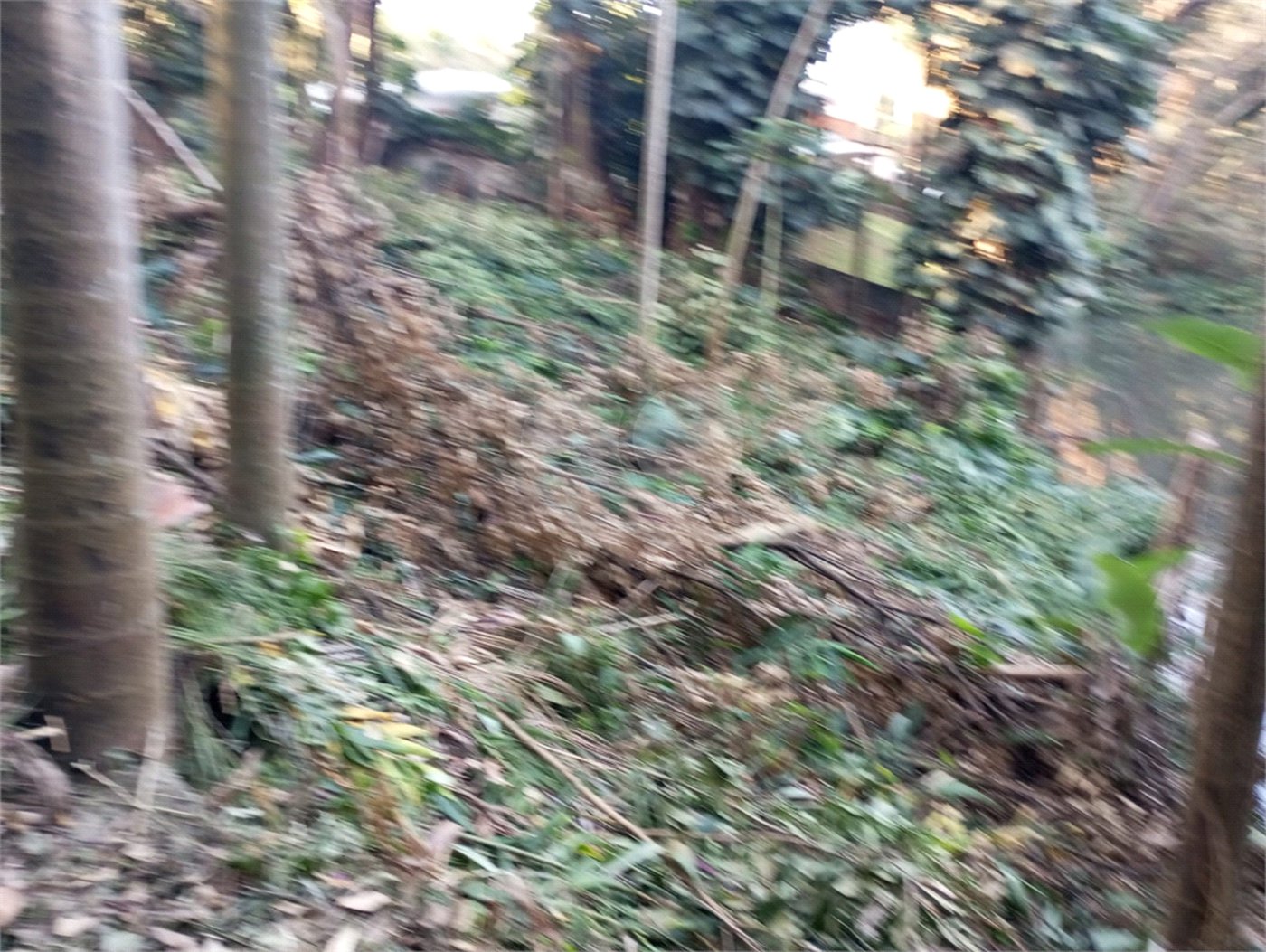 Terreno à venda com 1 suíte em Alto da Boa Vista, São Paulo, SP