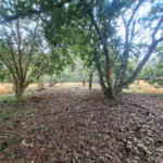 Terreno à venda em Portal da Figueira, Itapetininga, SP