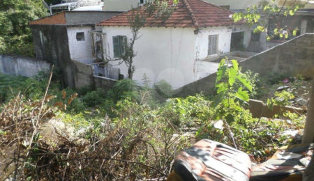 Terreno à venda ou para alugar em Água Fria, São Paulo, SP