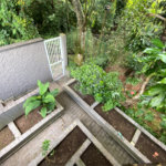 Sobrado à venda com 4 quartos, sendo 1 suíte, em Horto, São Paulo, SP