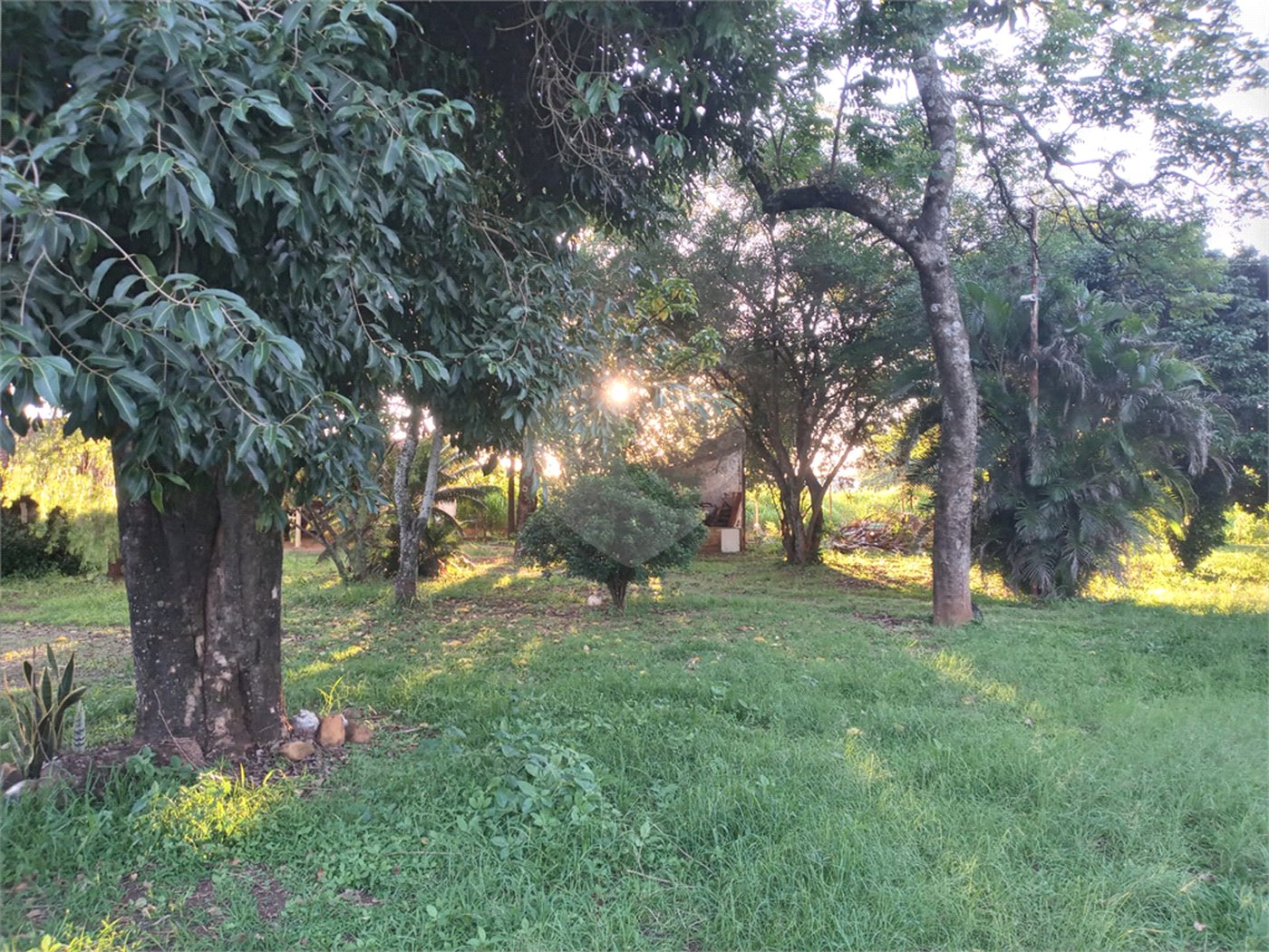 Chácara à venda com 5 quartos, sendo 1 suíte, em Tibaia de São Fernando, São Carlos, SP