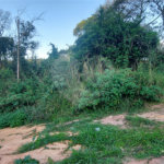 Terreno à venda no condomínio Sausalito, Mairiporã - SP