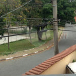 Sobrado à venda com 4 quartos, sendo 1 suíte, em Limão, São Paulo, SP