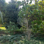 Casa à venda com 2 quartos, sendo 1 suíte,  em Chapadinha, Itapetininga, SP