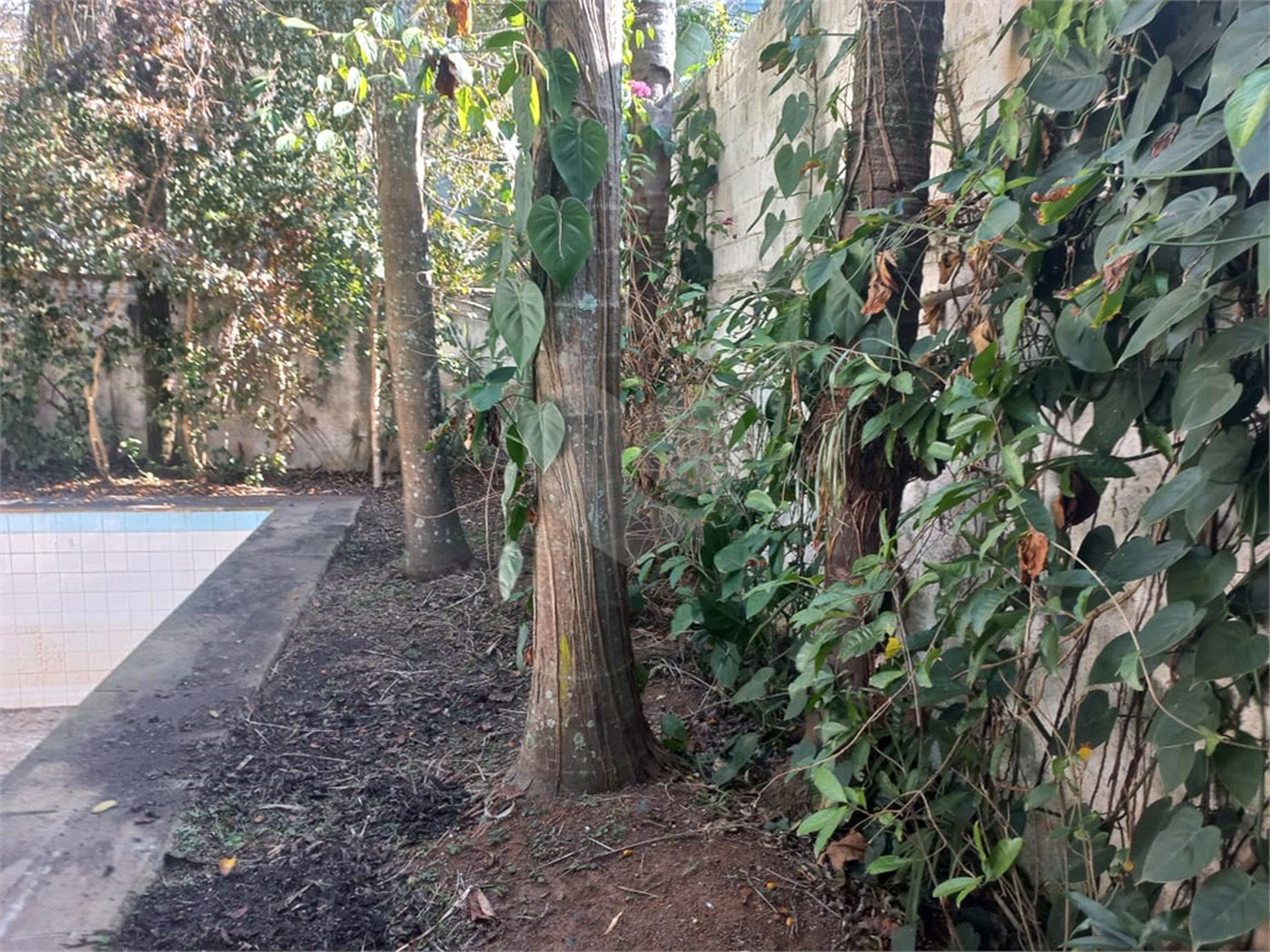Casa à venda com 3 quartos, sendo 2 suítes, em Morumbi, São Paulo, SP