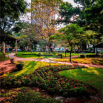 Apartamento à venda com 2 quartos em Jardim Ismênia, São José dos Campos, SP