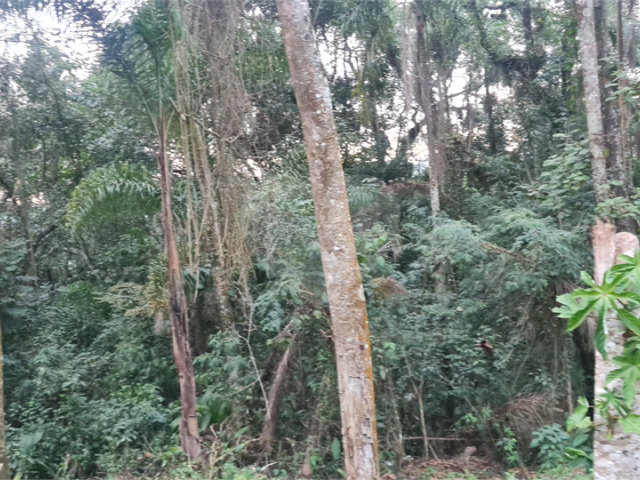 Condomínio à venda em Serra da Cantareira, Mairiporã, SP