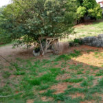 Terreno à venda em Alto Ipiranga, Mogi das Cruzes, SP