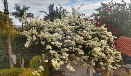 Chácara à venda com 5 quartos, sendo 1 suíte, em Vitória Régia, Atibaia, SP