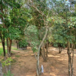 Terreno à venda com 1 suíte no condomínio Portal do Lago, Valinhos - SP
