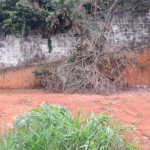 Terreno à venda em Vila Albertina, São Paulo, SP
