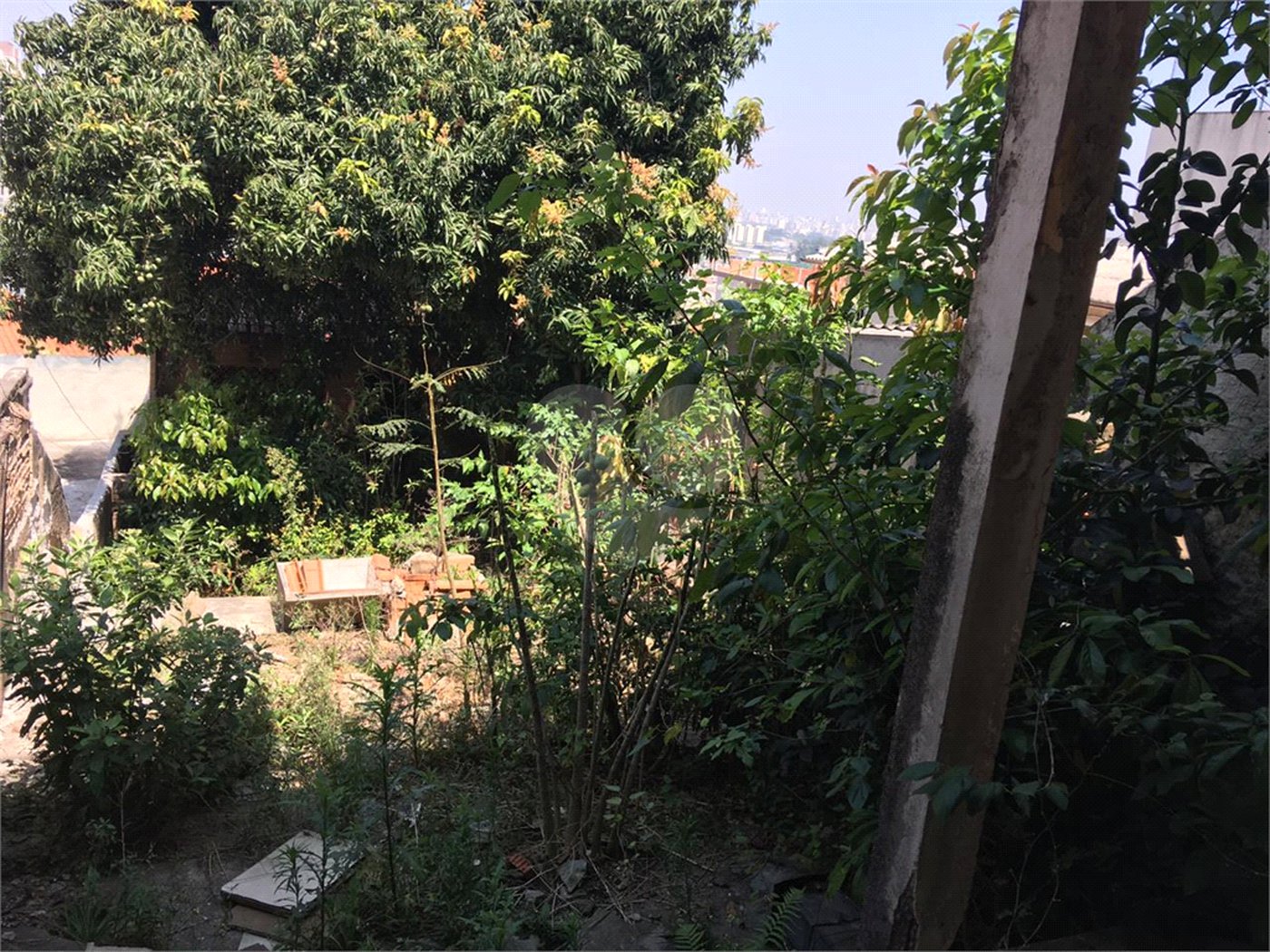 Terreno à venda com 3 quartos em Vila Maria, São Paulo, SP