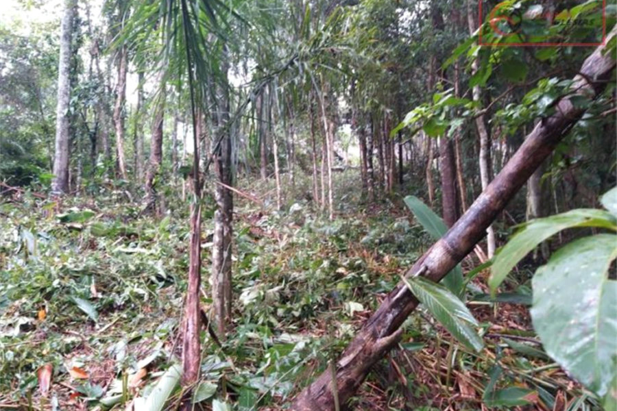 Terreno à venda em Serra da Cantareira, Mairiporã, SP