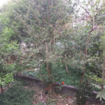 Terreno à venda em Santana, São Paulo, SP