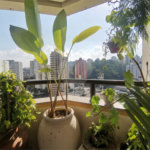 Apartamento à venda com 3 quartos, sendo 1 suíte, em Vila Andrade, São Paulo, SP