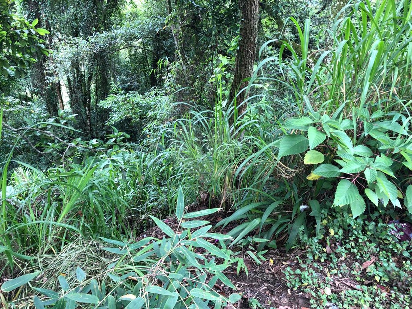Terreno à venda no condomínio Gleba E1 E2, Mairiporã - SP