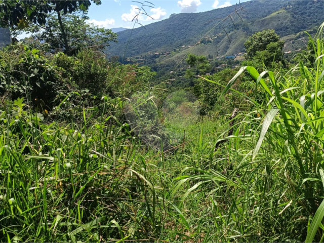 Terreno à venda em Luiz Fagundes, Mairiporã, SP