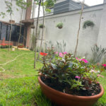 Apartamento com 26m² - ótimo para investidores