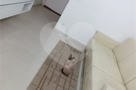 Apartamento à venda com 3 quartos, sendo 1 suíte,  em Vila Mariana, São Paulo, SP