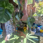 Casa à venda com 2 quartos, sendo 1 suíte, no condomínio Clube Caminho do Park, Rio de Janeiro - RJ