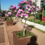 Apartamento à venda com 3 quartos, sendo 1 suíte,  em Vila Suissa, Mogi das Cruzes, SP