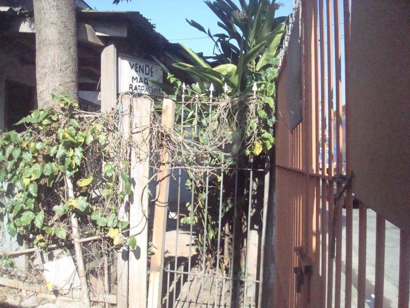 Terreno à venda em Vila Nova Mazzei, São Paulo, SP
