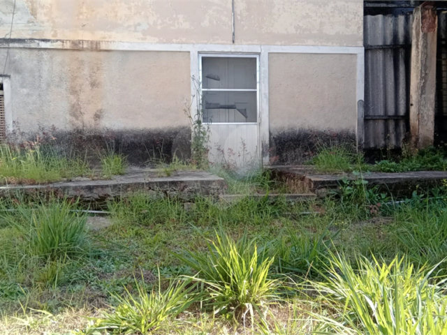 Terreno à venda em Horto Florestal, São Paulo, SP