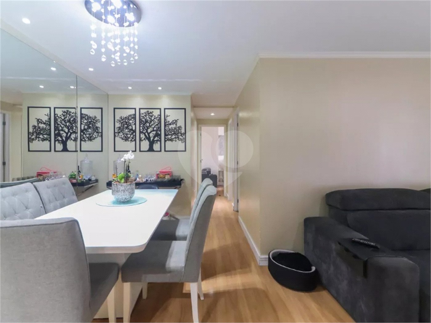 Apartamento à venda com 3 quartos, sendo 1 suíte, em Vila Polopoli, São Paulo, SP