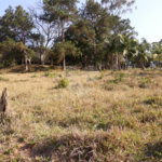 Sítio à venda com 3 quartos em Bairro do Cambará, São Roque, SP