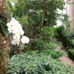 Apartamento à venda com 3 quartos, sendo 1 suíte, em Jardim Ampliação, São Paulo, SP