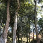 Terreno à venda em Horto, São Paulo, SP