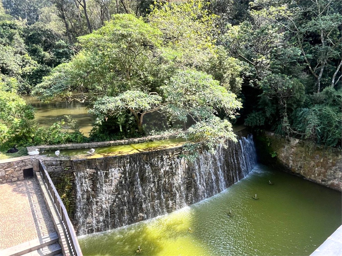 Cobertura à venda ou para alugar com 4 suítes em Jardim Morumbi, São Paulo, SP