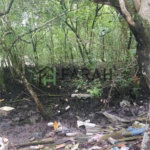 Terreno Residencial à venda, Vila Ligya, Guarujá - TE0032.