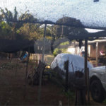 Casa Térrea no Jardim Novo Horizonte.